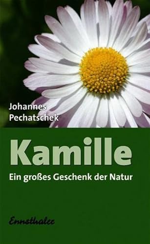 Kamille: Ein großes Geschenk der Natur